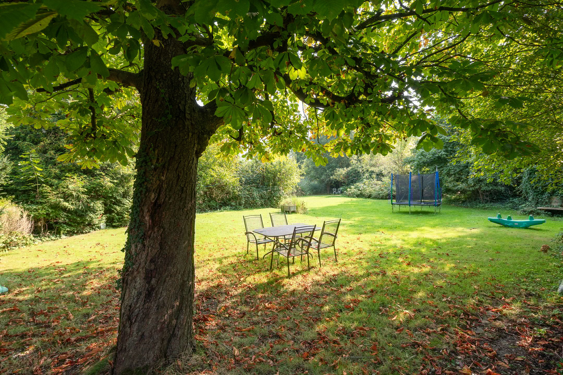 Photo 15 of Kleizuwe 8