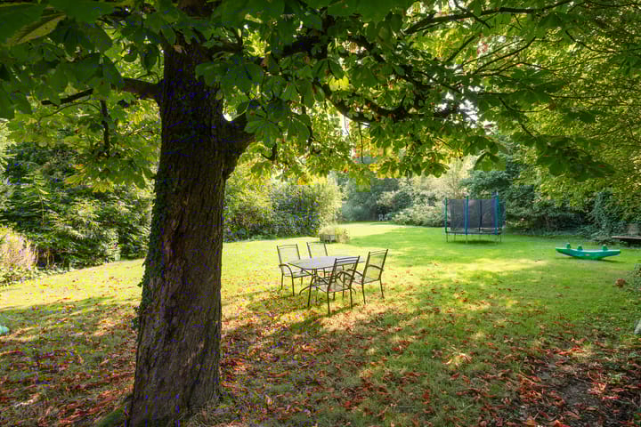 Photo 15 of Kleizuwe 8