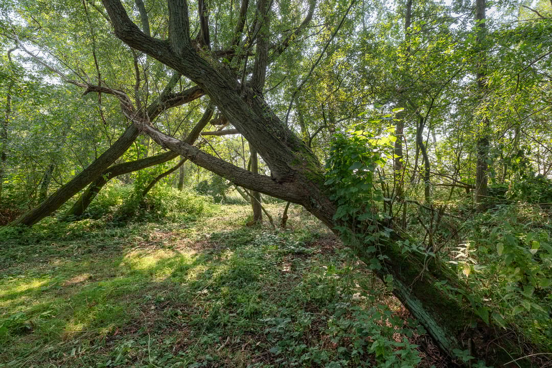 Photo 16 of Kleizuwe 8