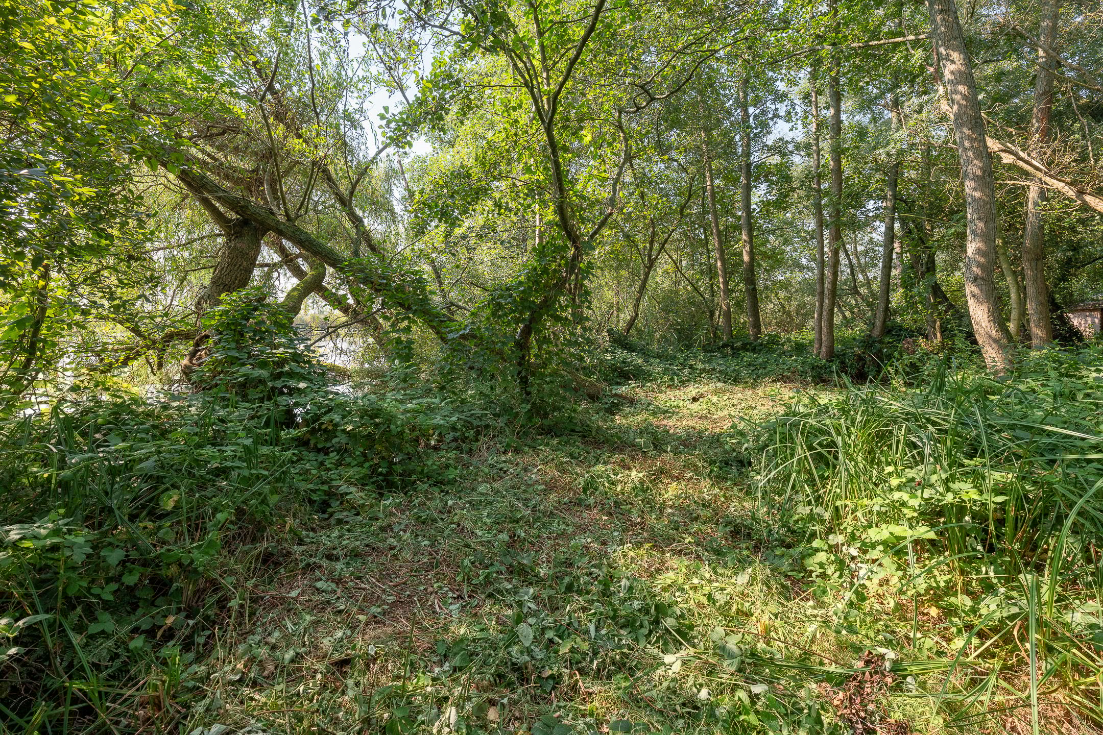 Photo 18 of Kleizuwe 8