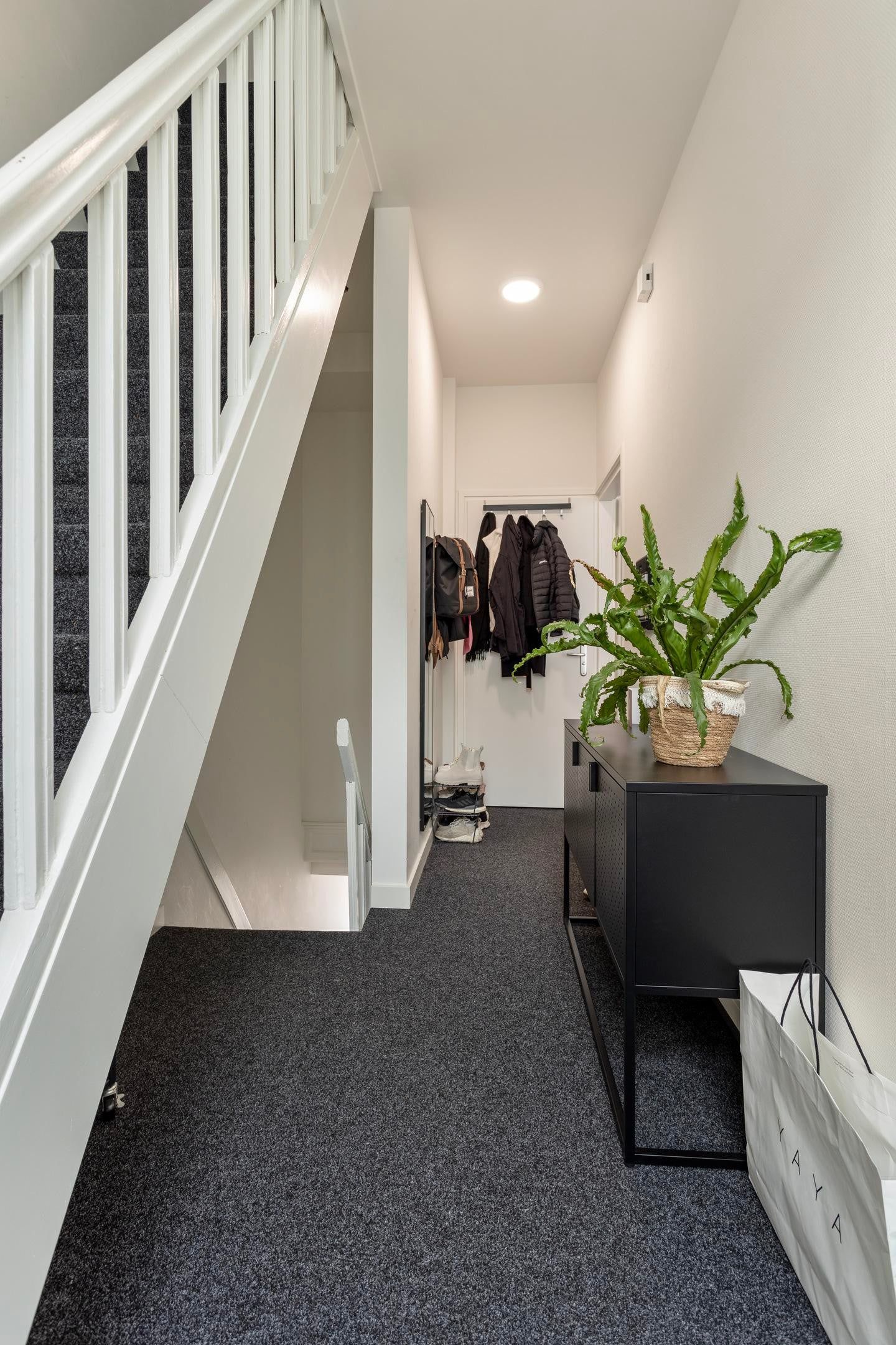 Foto 12 van Cornelis Frederiksstraat 1