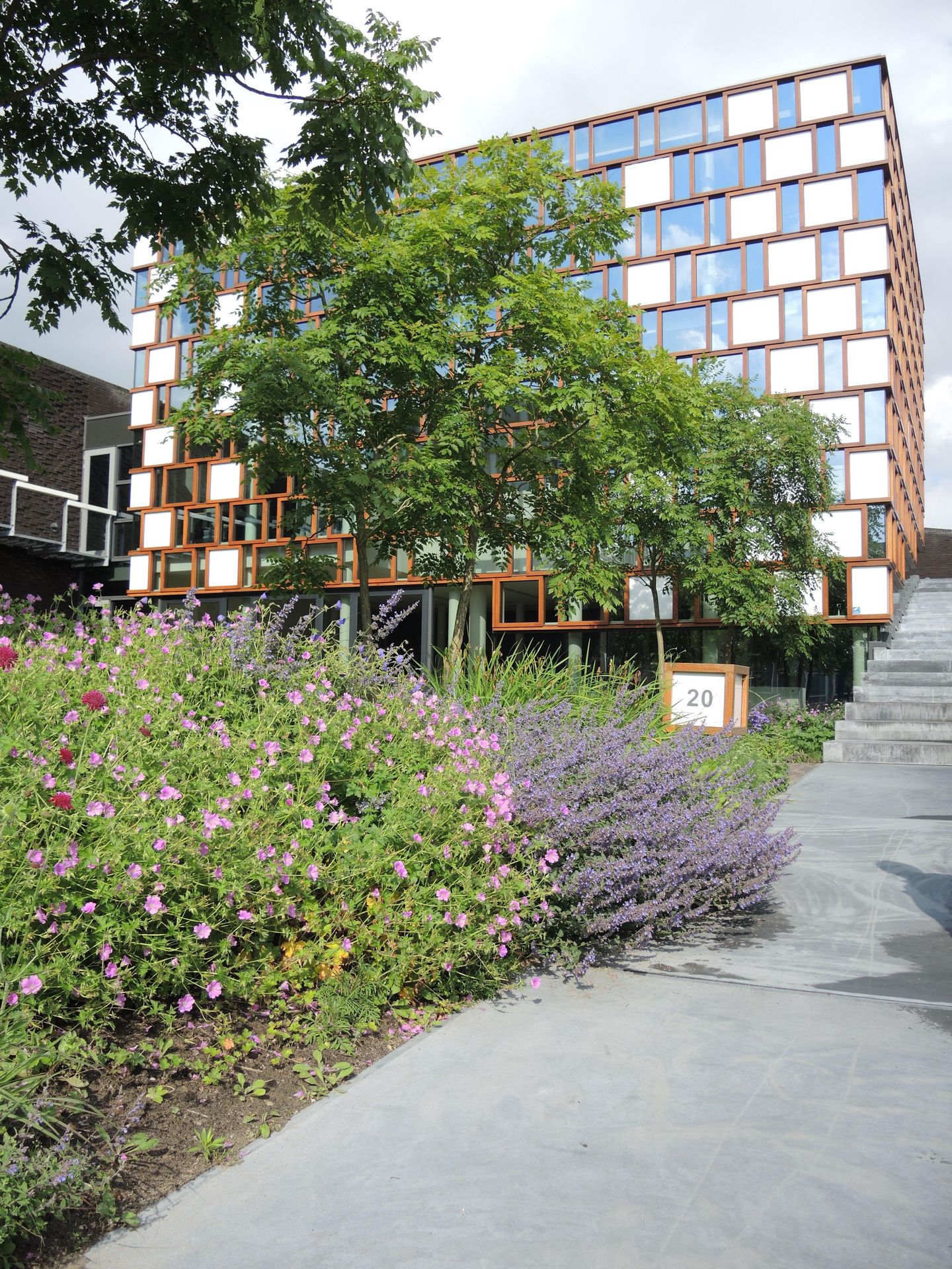 Bekijk foto 5 van Moutlaan 20