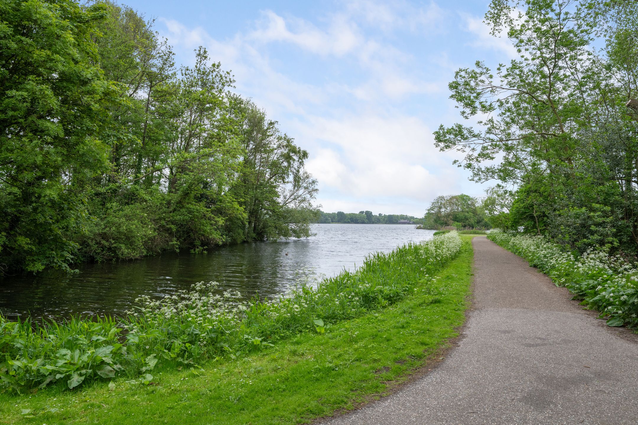 Foto 36 van Kralingse Plaslaan 58-A