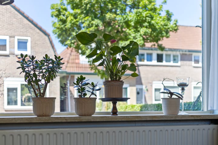 Foto 13 van Ringovenstraat 4-A