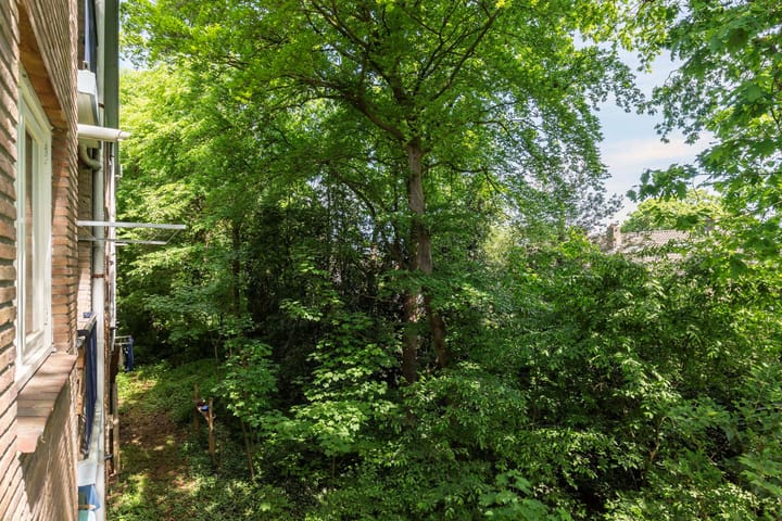 Foto 14 van Waltersingel 6-A