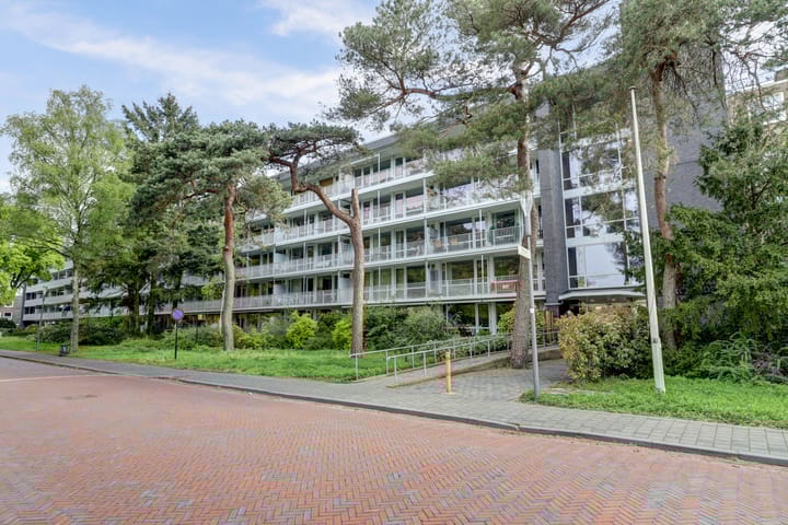 Foto 1 van Prinses Marijkelaan 29-2