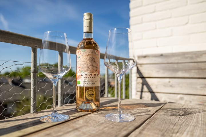 Foto 5 van Flevostraat 113