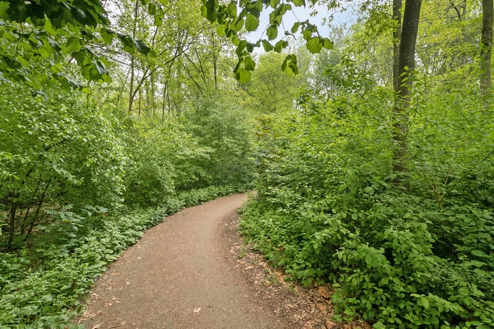 Foto 30 van Het Roege Pad 3
