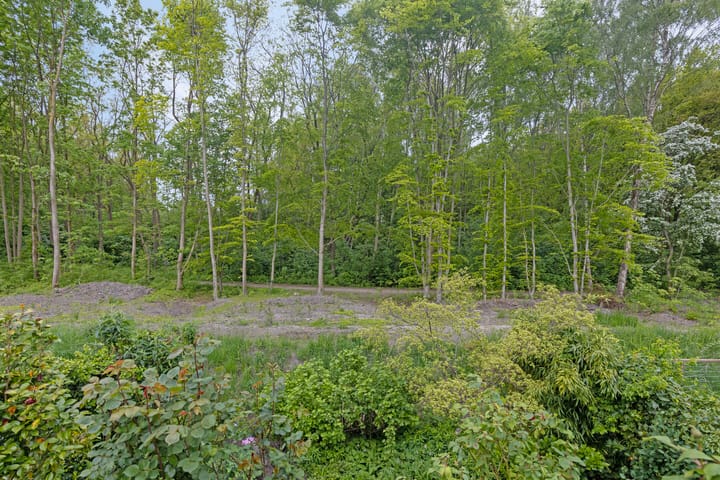 Foto 32 van Het Roege Pad 3