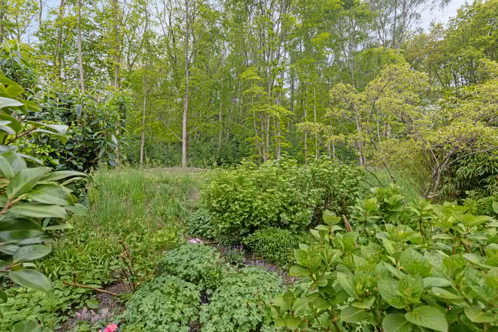 Foto 33 van Het Roege Pad 3