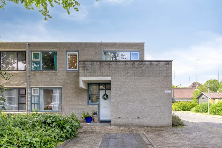 undefined main image