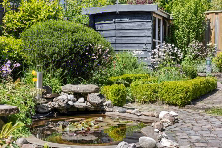 Foto 24 van de Esch 24