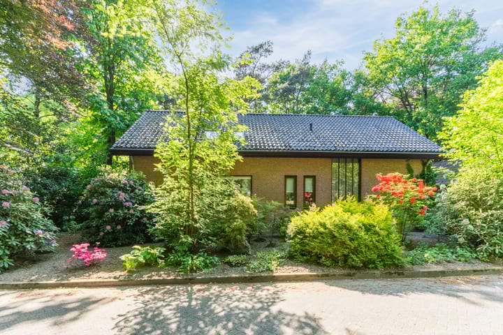 Foto 2 van Jan Roeststraat 23