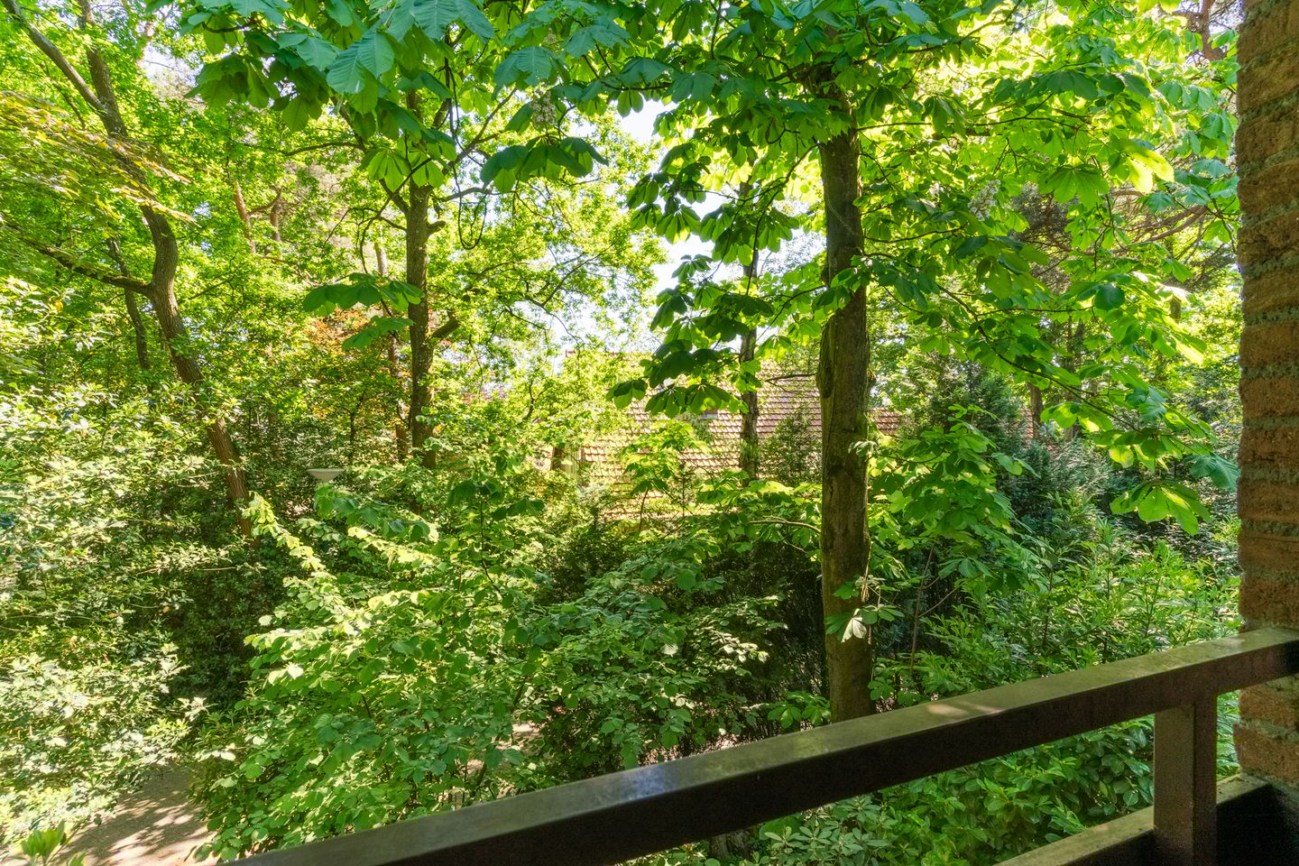 Foto 35 van Jan Roeststraat 23