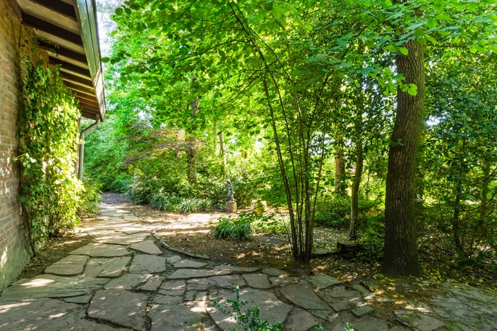 Foto 48 van Jan Roeststraat 23