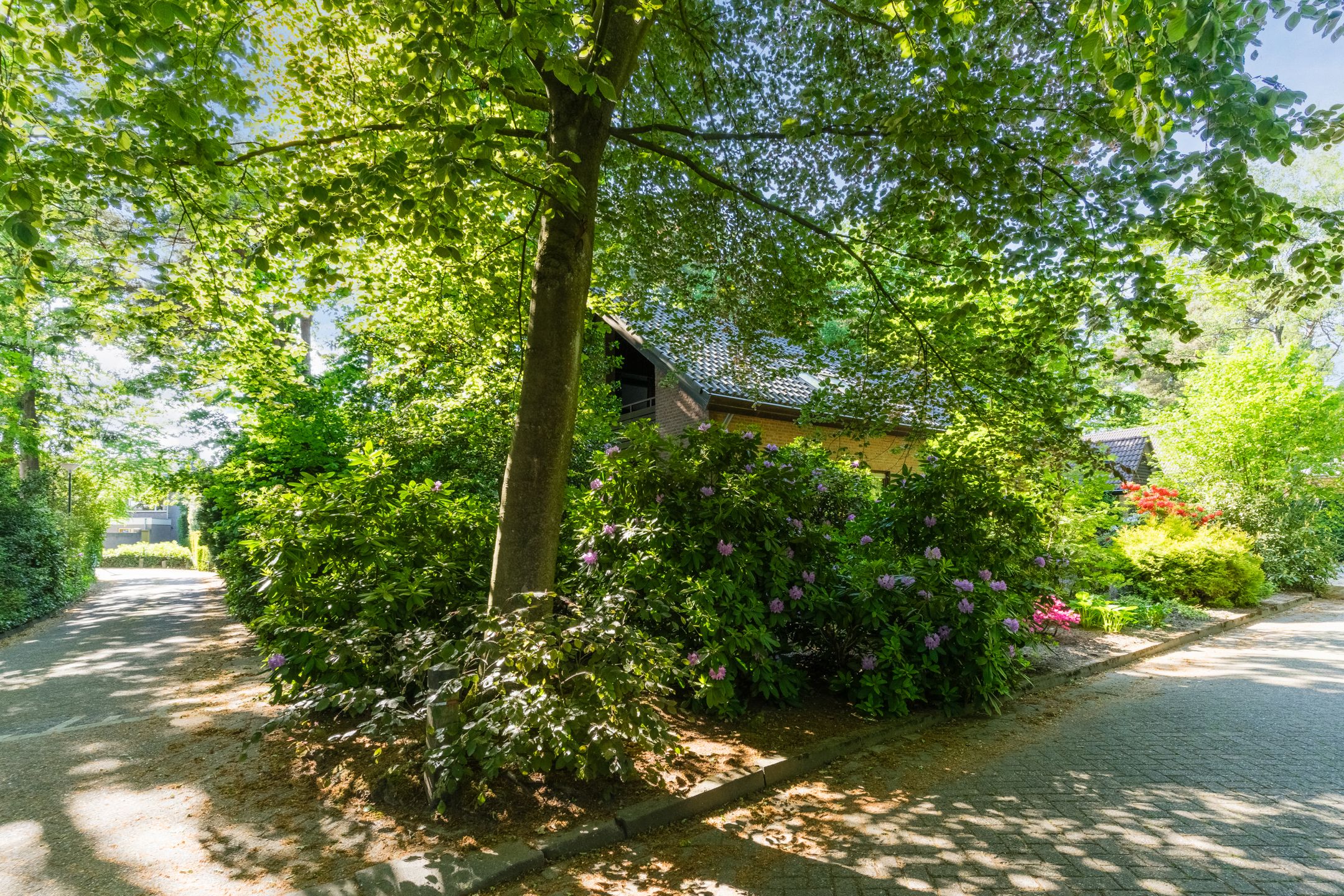 Foto 54 van Jan Roeststraat 23