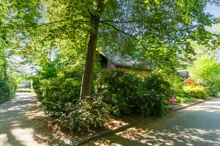 Foto 54 van Jan Roeststraat 23