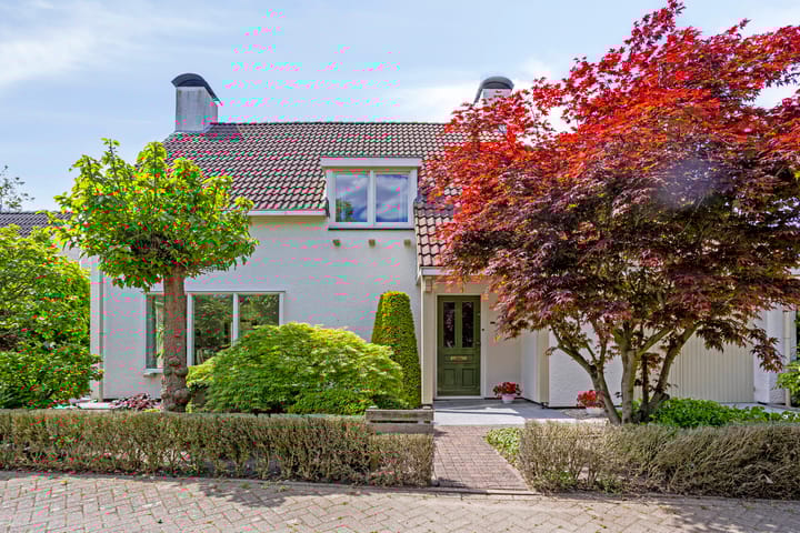 Hezelaar 35