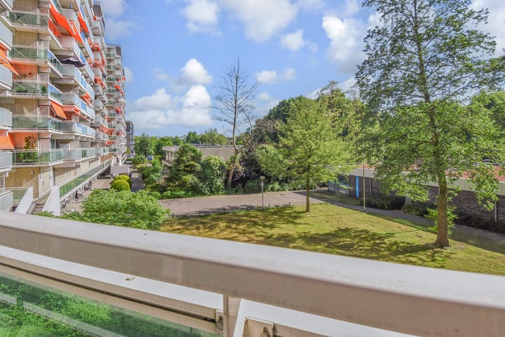 Foto 11 van Forellendaal 784