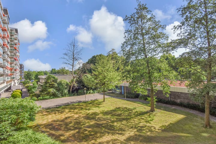 Foto 12 van Forellendaal 784