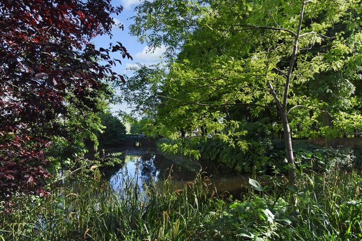 Foto 32 van Forellendaal 784