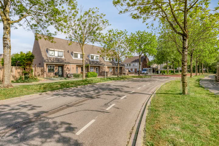 Foto 2 van Eendvogelstraat 89
