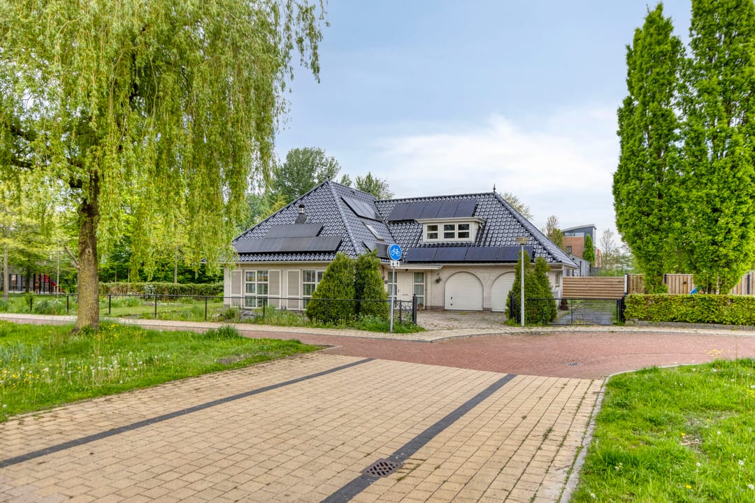 Foto 1 van Heideanjer 12