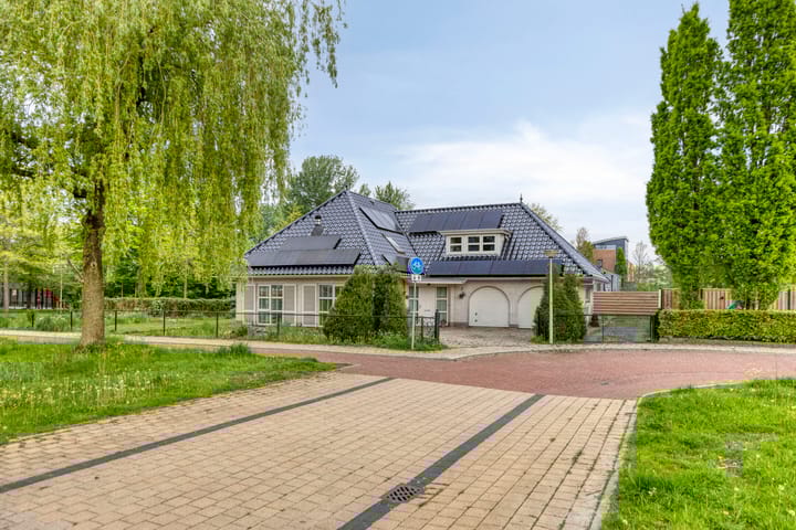 Foto 1 van Heideanjer 12