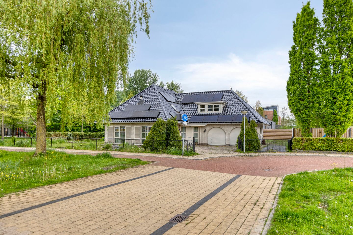 Foto 1 van Heideanjer 12