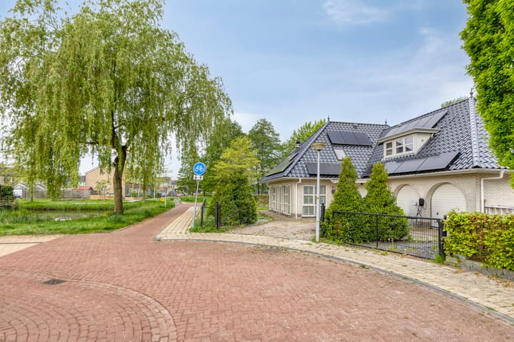 Foto 4 van Heideanjer 12