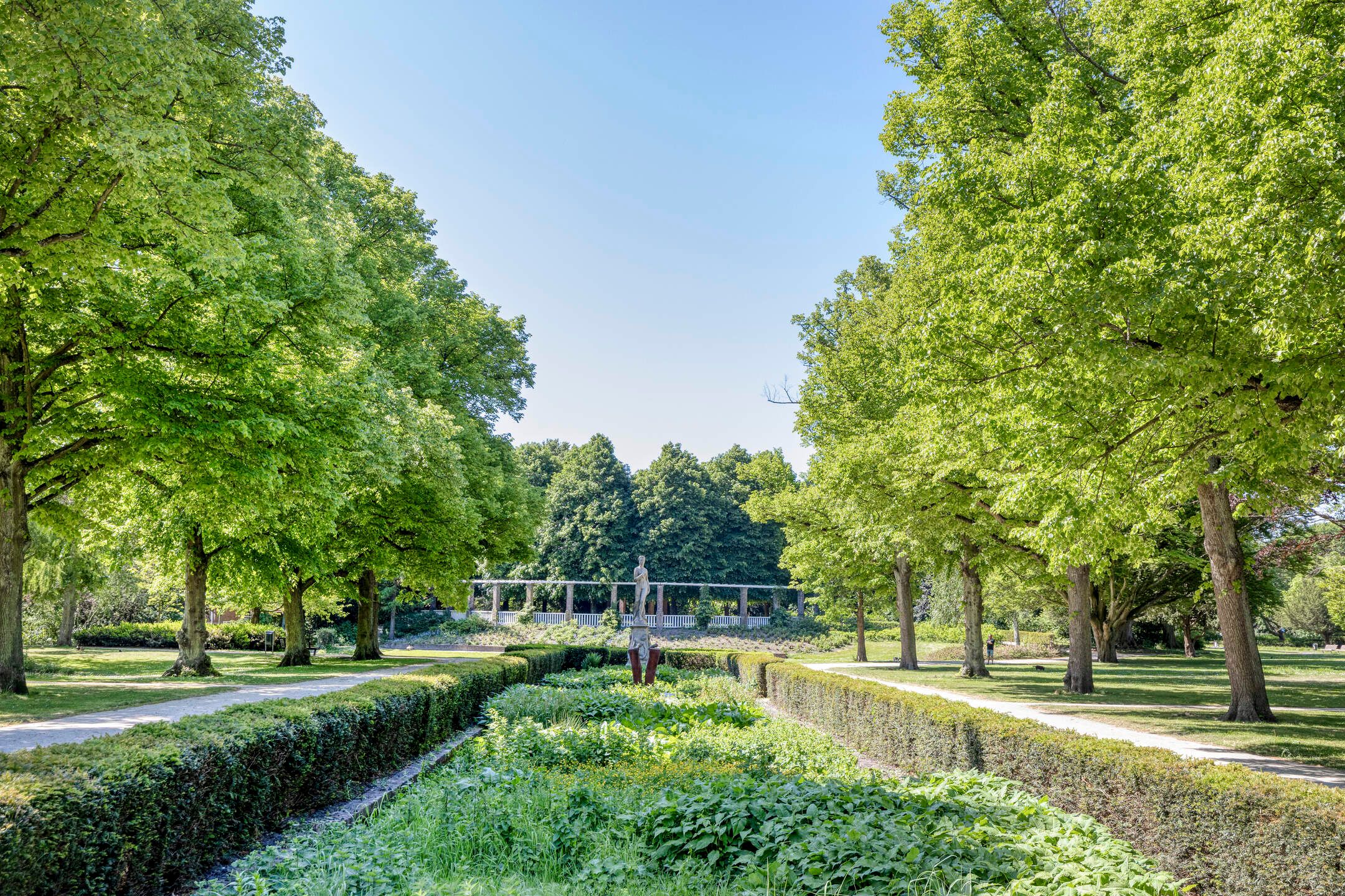 Foto 33 van Sint Liduinastraat 69-A