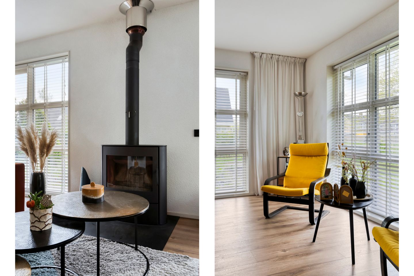 Foto 10 van Heideanjer 12