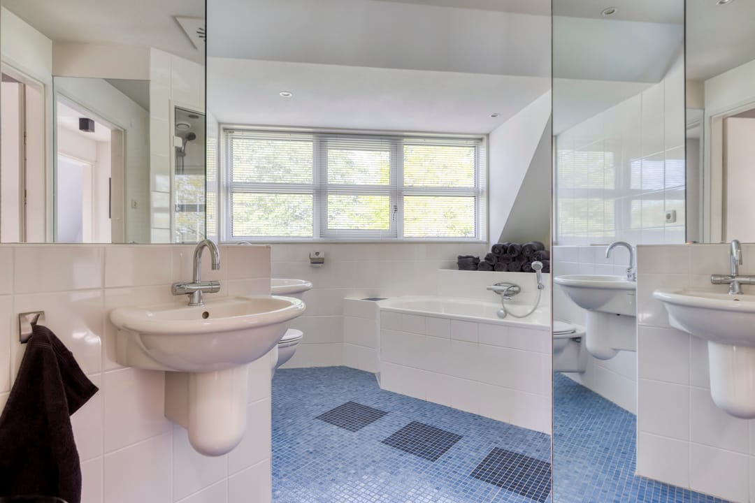 Foto 28 van Heideanjer 12