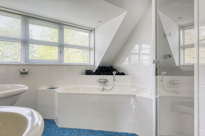 Foto 29 van Heideanjer 12