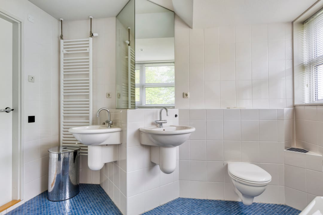 Foto 31 van Heideanjer 12