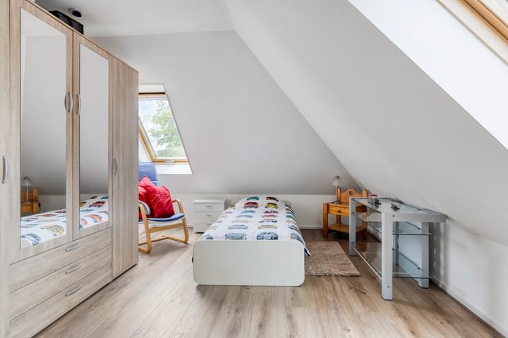 Foto 37 van Heideanjer 12