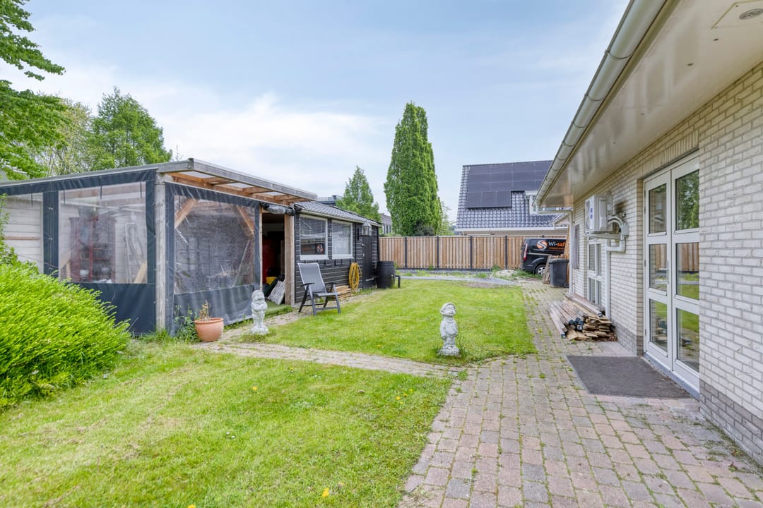 Foto 41 van Heideanjer 12