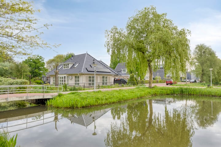 Foto 45 van Heideanjer 12