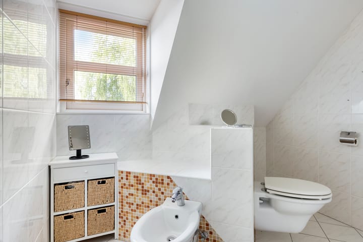 Foto 27 van Heideanjer 12