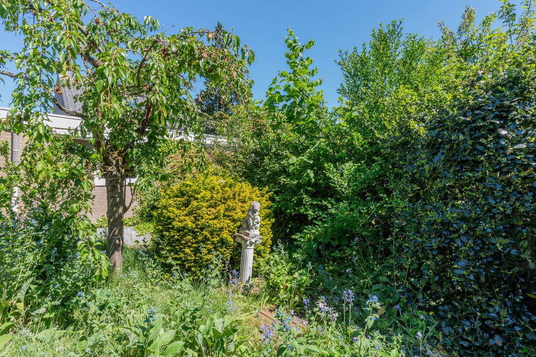 Photo 38 of Prof. dr. F. Zernikeweg 56