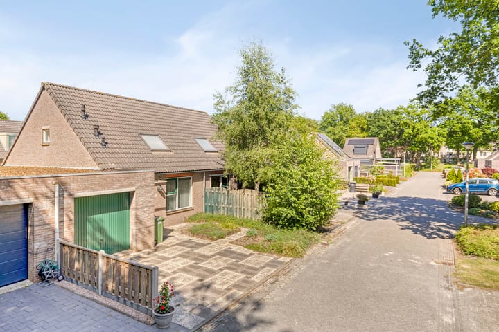 Foto 5 van Velduil 31