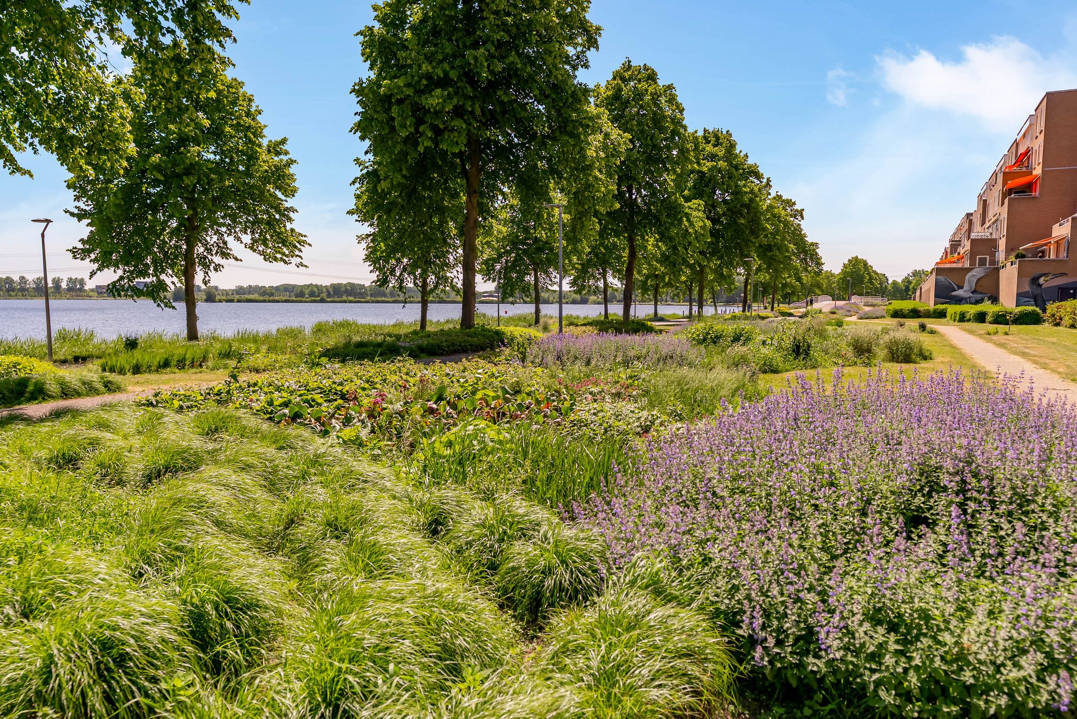 Photo 57 of Vollenhoveschans 90