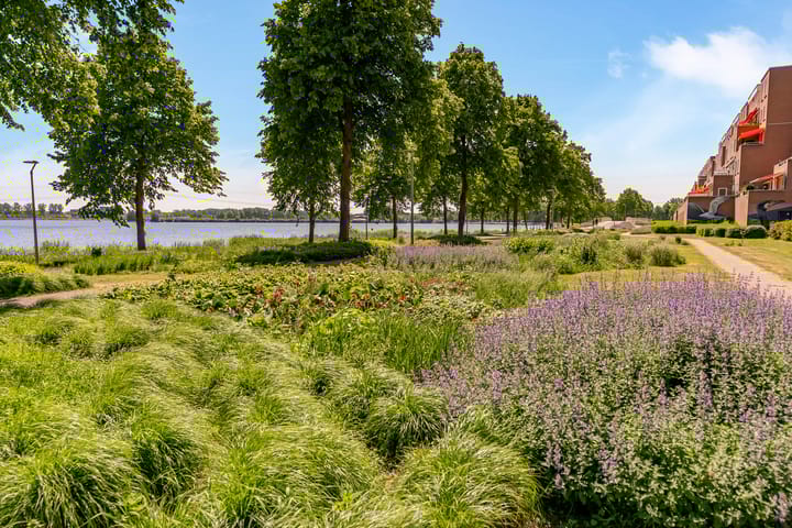 Photo 57 of Vollenhoveschans 90