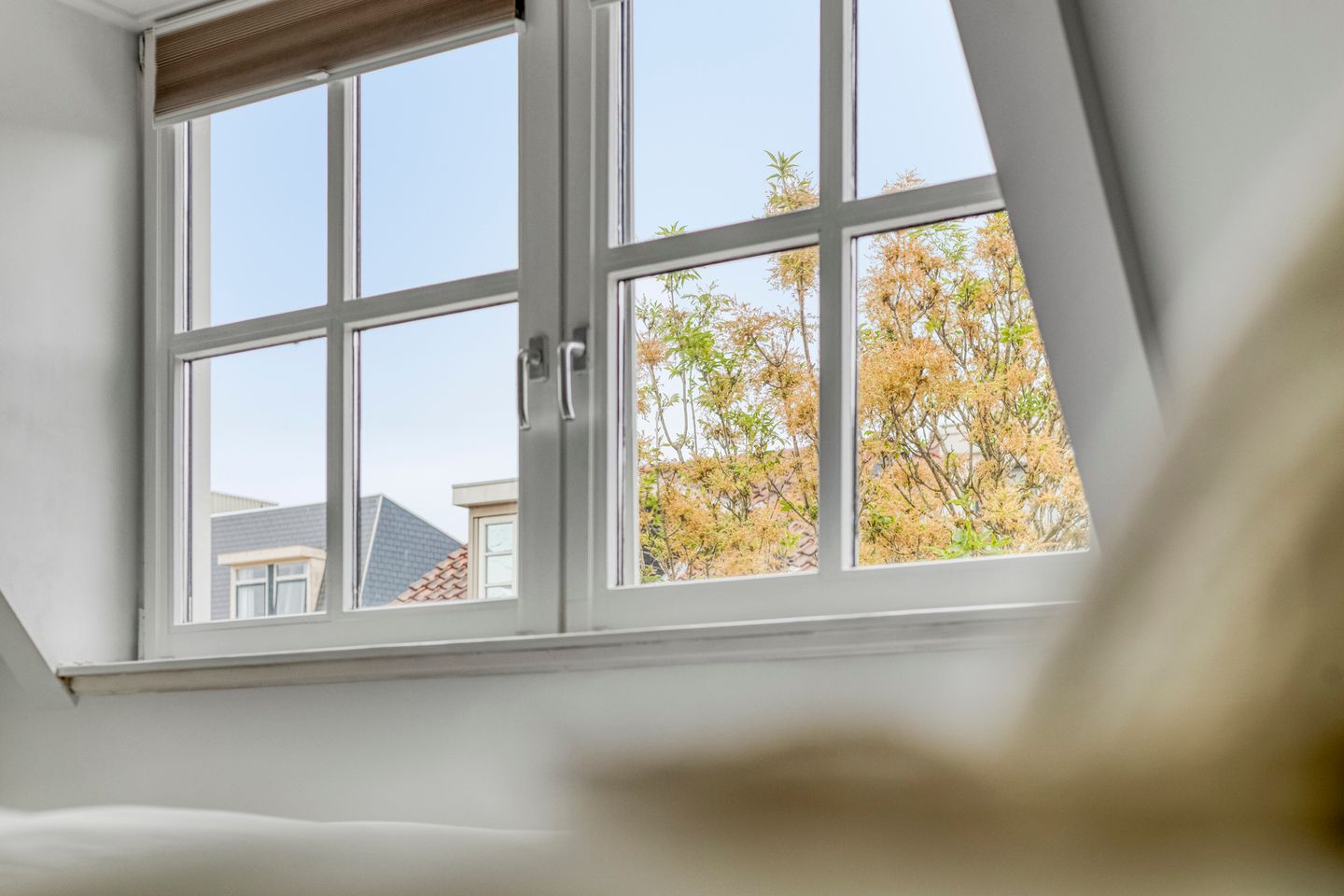 Foto 19 van Oranjestraat 23