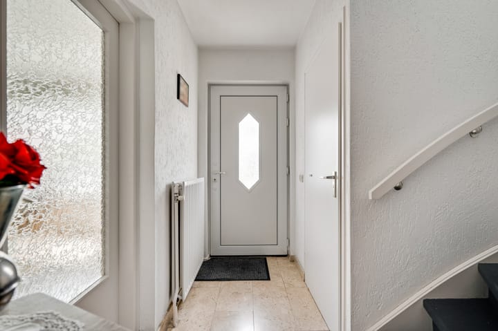 Photo 4 of Primulabeemd 5