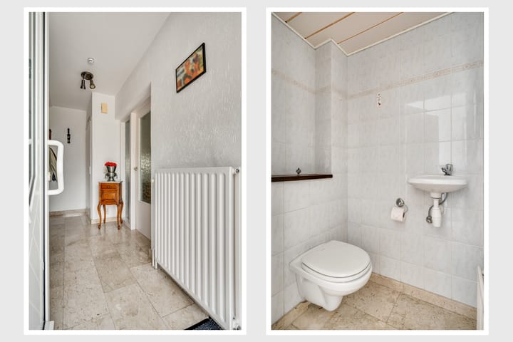 Photo 5 of Primulabeemd 5