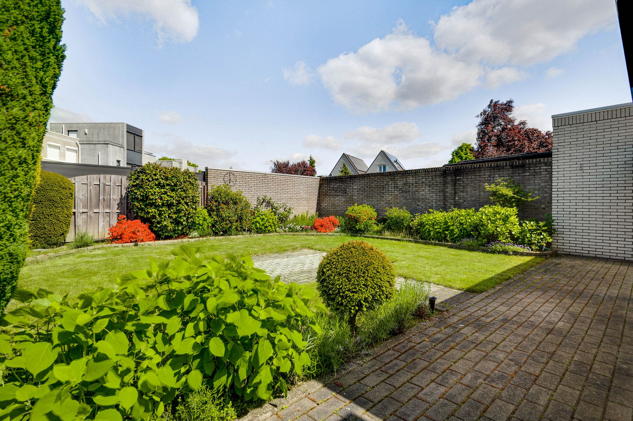 Foto 18 van Primulabeemd 5