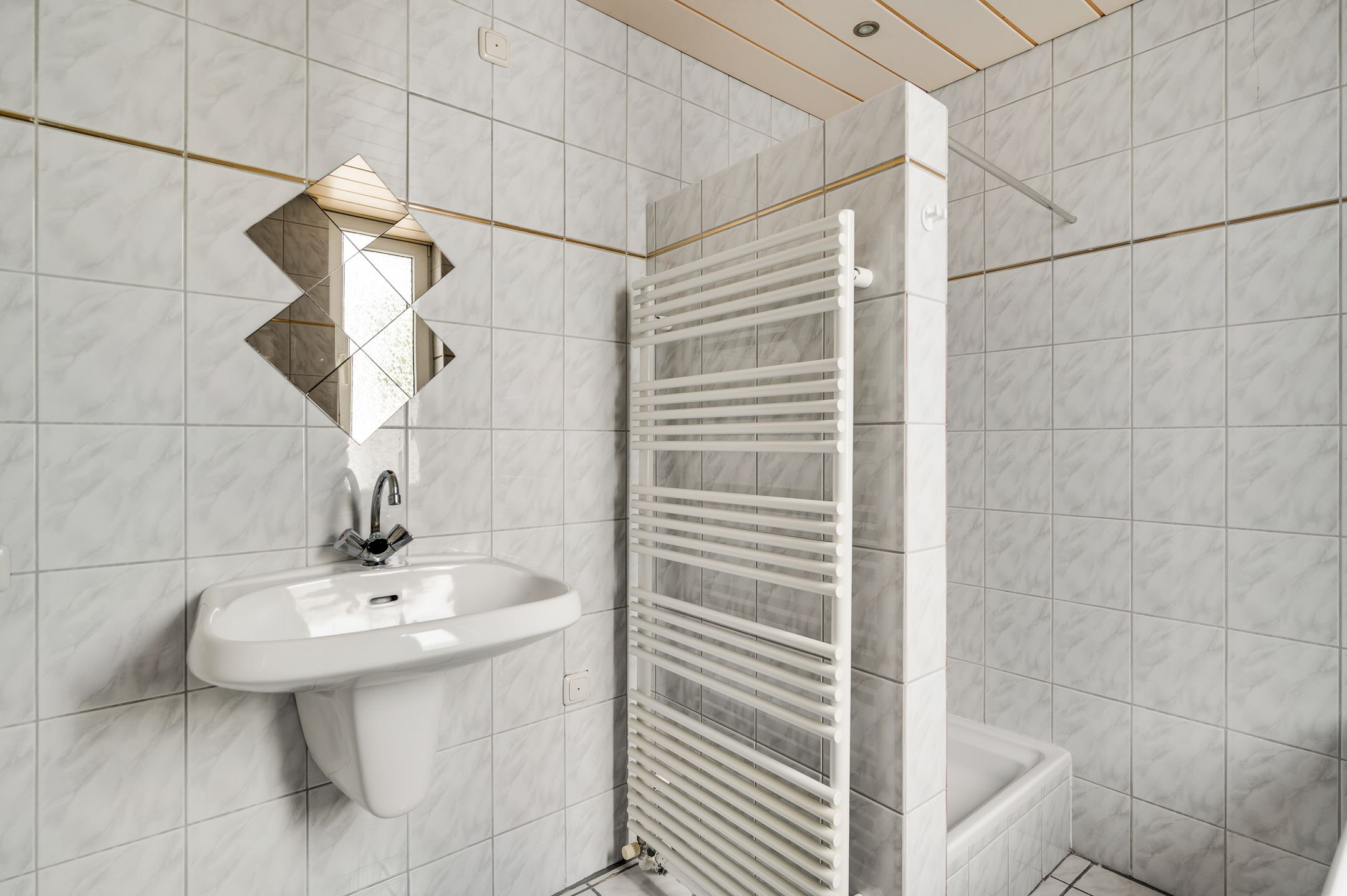 Foto 24 van Primulabeemd 5