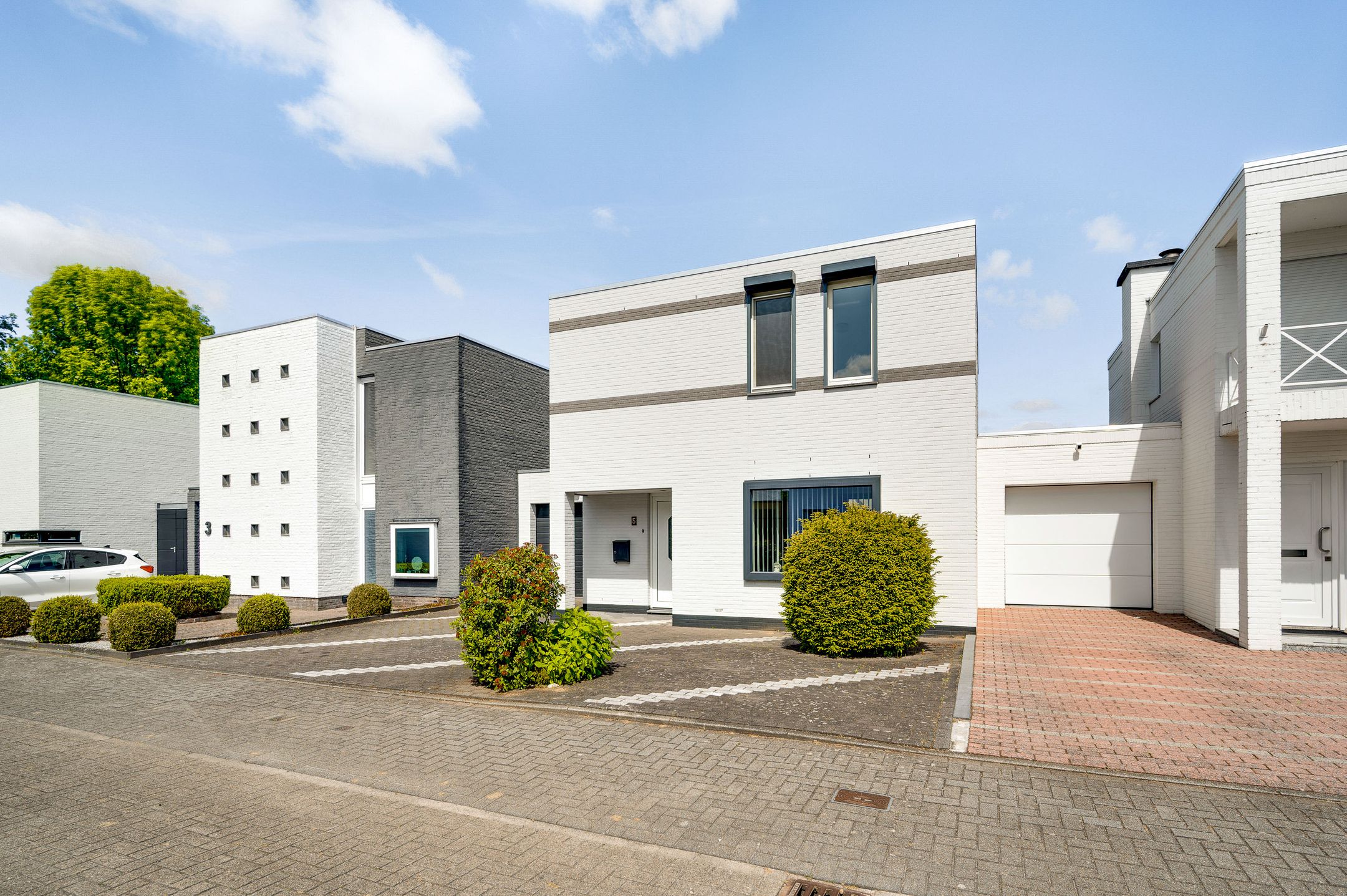 Foto 30 van Primulabeemd 5