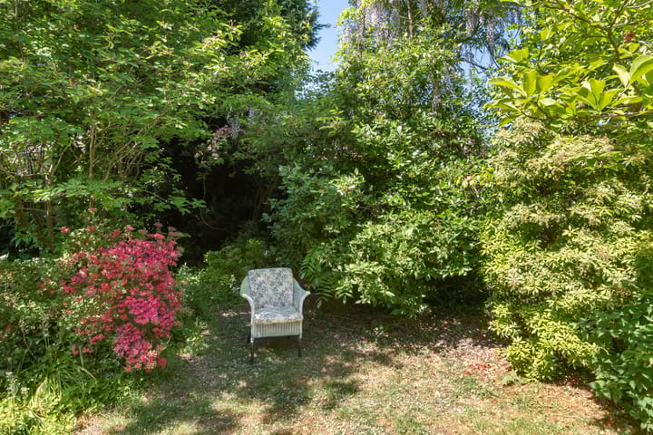 Foto 37 van Distellaan 13